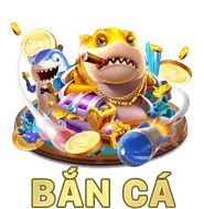 Câu hỏi thường gặp về new66.app